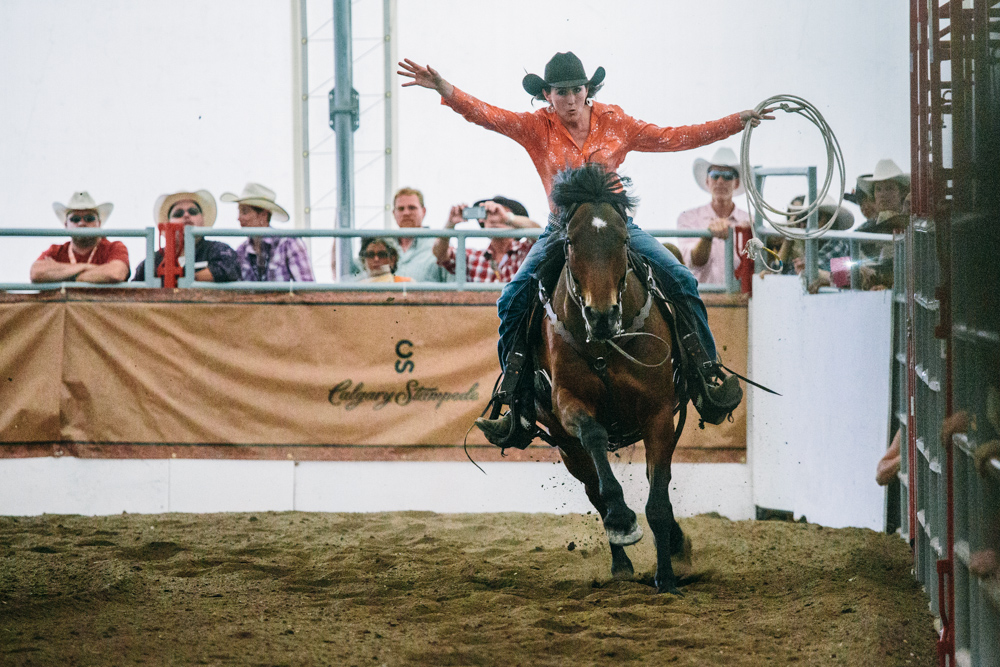 Calgary stampede chuck wagon race