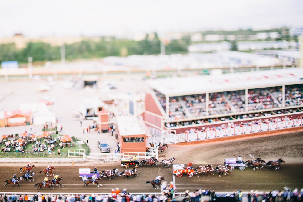 Calgary stampede chuck wagon race