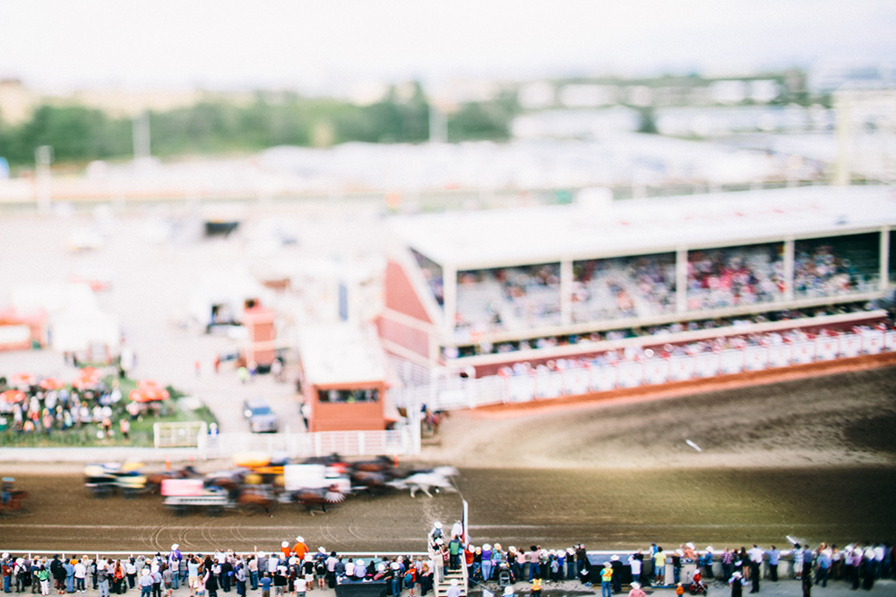 Calgary stampede chuck wagon race