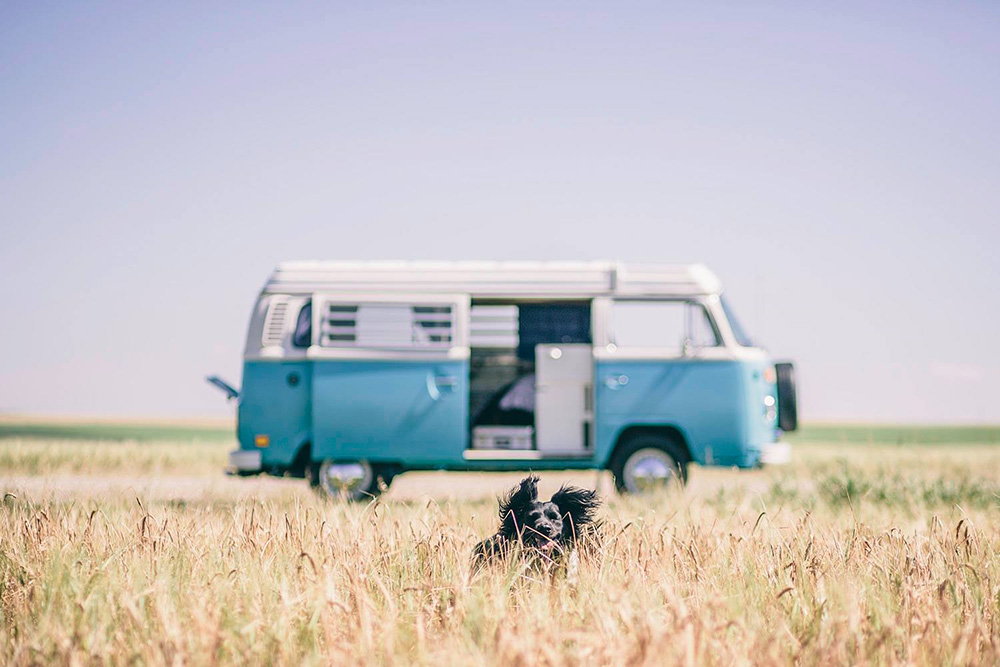 1970 Volkswagen westfalia VW van bus