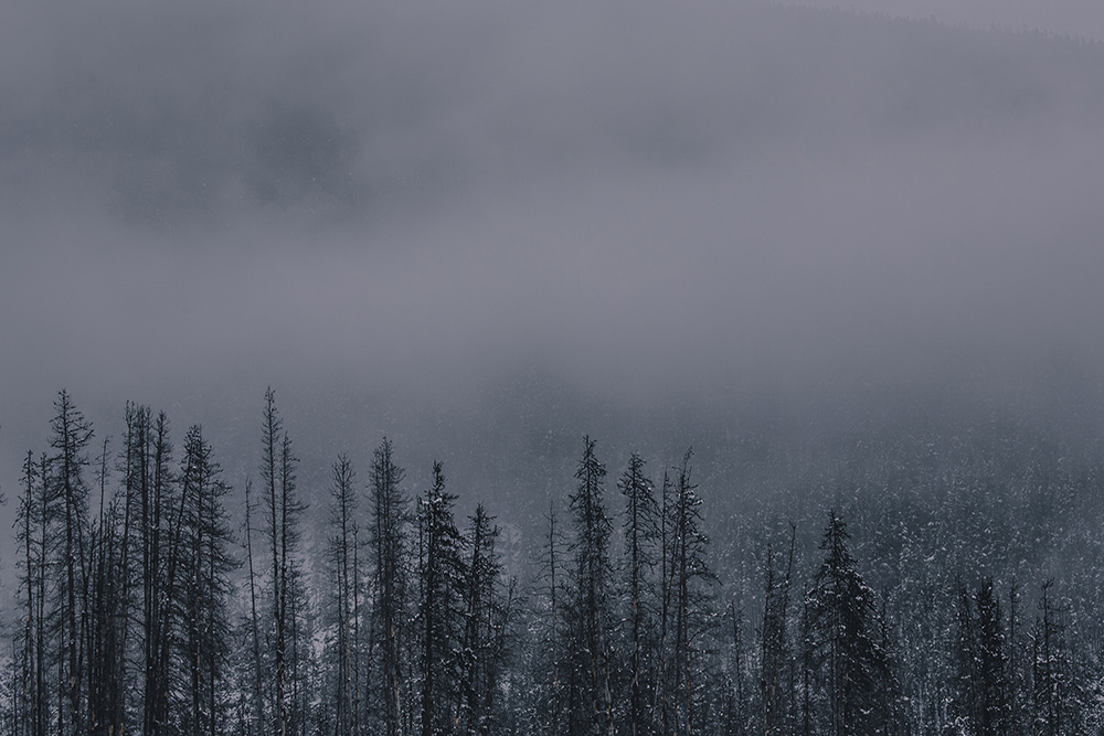 Rocky mountains in fog Jasper Alberta